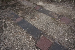 Foundation at Sturkey