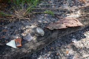 Remains around Town Site