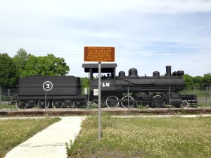 Patterson-McInnis Train