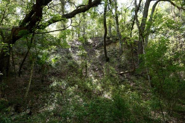 29744854_10157503520052468_4200483052950692298_o